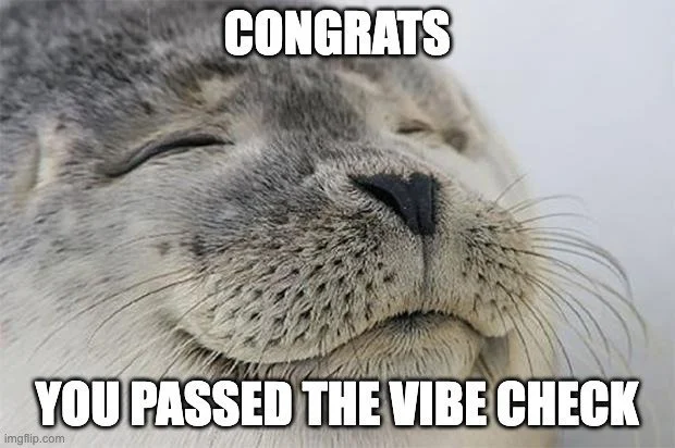 Meme: passed the vibe check